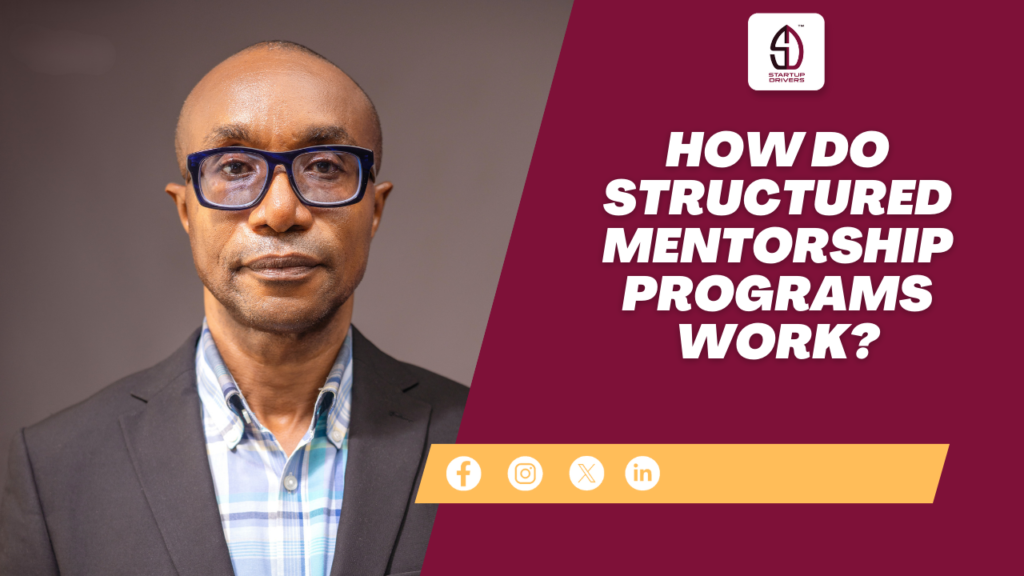 How Do Structured Mentorship Programs Work?