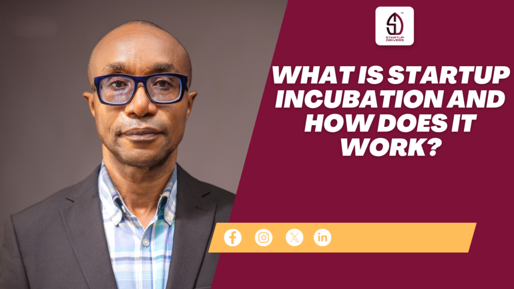What Is Startup Incubation and How Does It Work?
