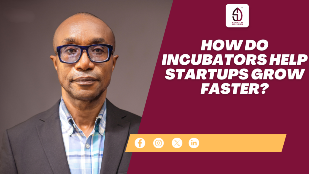 How Do Incubators Help Startups Grow Faster?